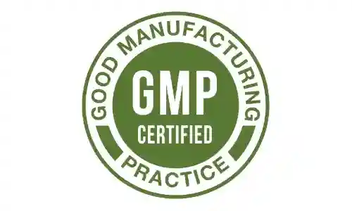 RingZen6 GMP Certified